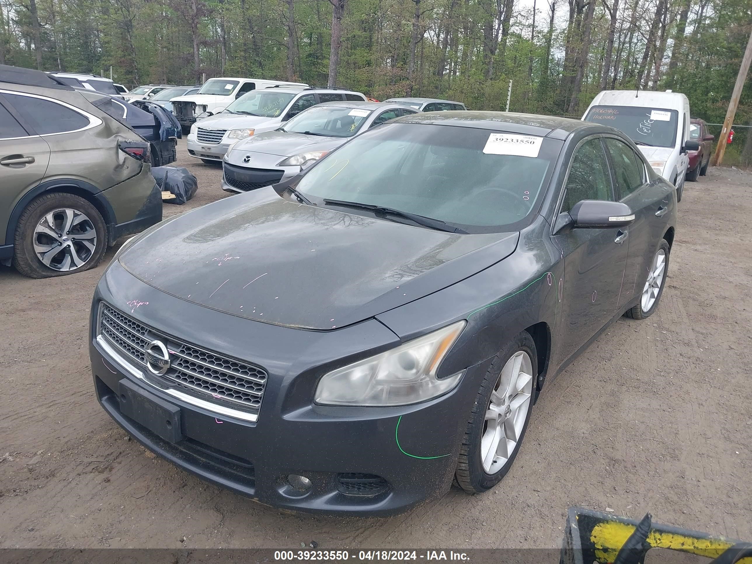 Photo 1 VIN: 1N4AA5AP7BC805060 - NISSAN MAXIMA 