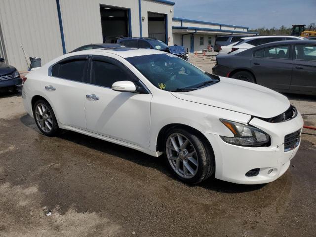 Photo 3 VIN: 1N4AA5AP7BC811330 - NISSAN MAXIMA 