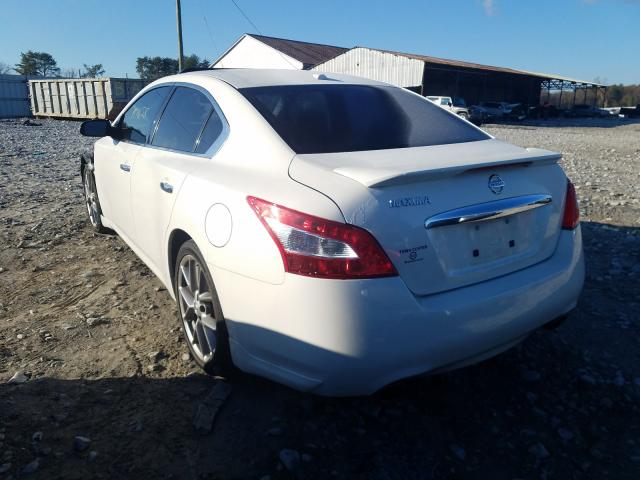 Photo 2 VIN: 1N4AA5AP7BC811473 - NISSAN MAXIMA S 