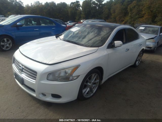 Photo 1 VIN: 1N4AA5AP7BC816320 - NISSAN MAXIMA 