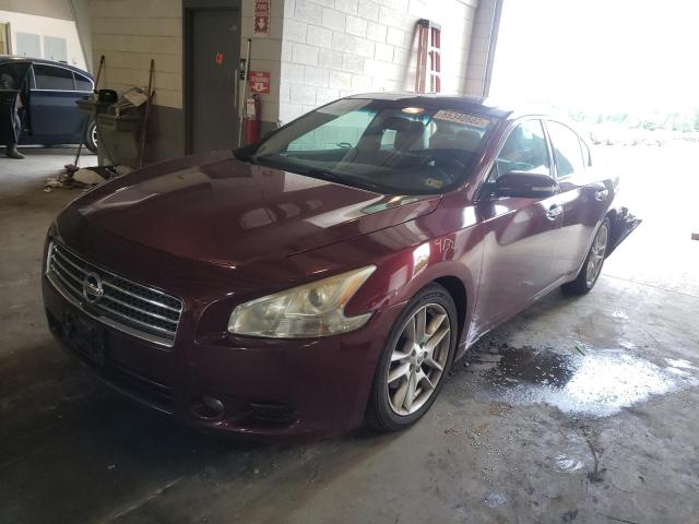 Photo 1 VIN: 1N4AA5AP7BC824871 - NISSAN MAXIMA S 