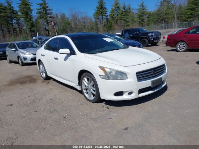 Photo 0 VIN: 1N4AA5AP7BC826927 - NISSAN MAXIMA 