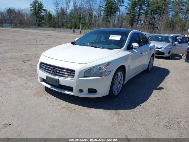 Photo 1 VIN: 1N4AA5AP7BC826927 - NISSAN MAXIMA 