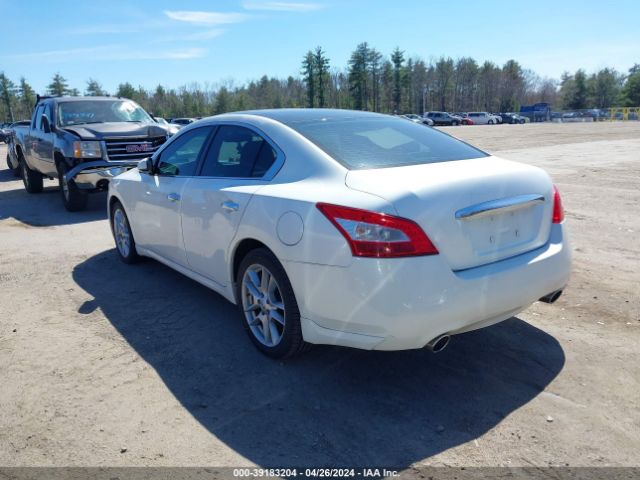 Photo 2 VIN: 1N4AA5AP7BC826927 - NISSAN MAXIMA 