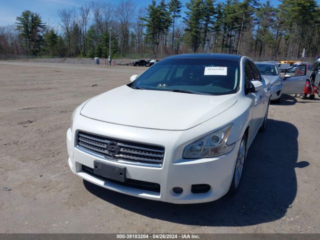 Photo 5 VIN: 1N4AA5AP7BC826927 - NISSAN MAXIMA 