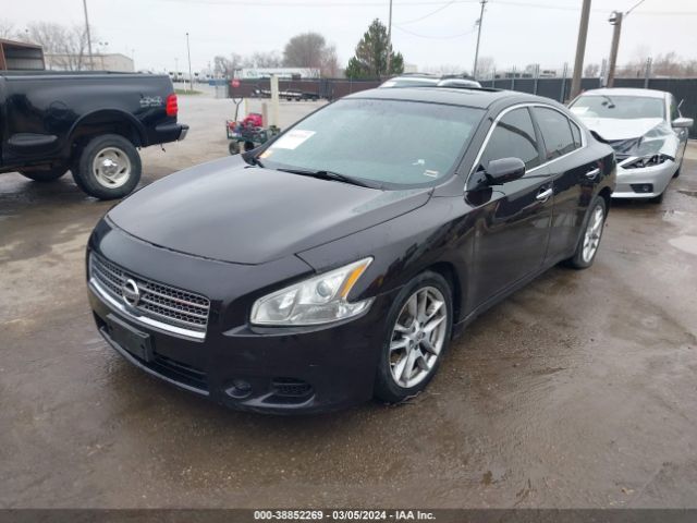 Photo 1 VIN: 1N4AA5AP7BC827723 - NISSAN MAXIMA 