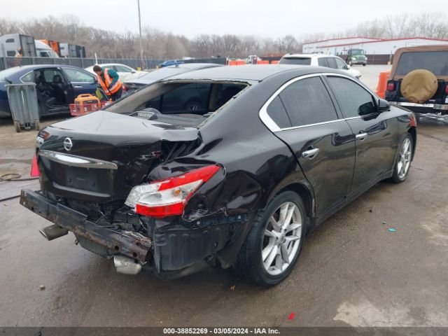 Photo 3 VIN: 1N4AA5AP7BC827723 - NISSAN MAXIMA 