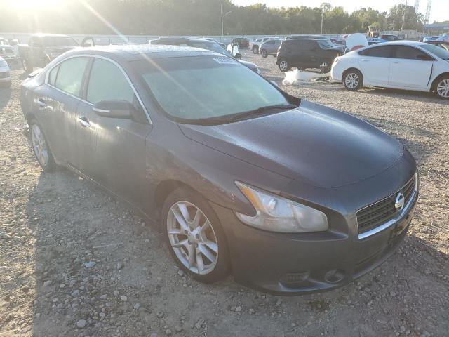 Photo 3 VIN: 1N4AA5AP7BC831223 - NISSAN MAXIMA S 