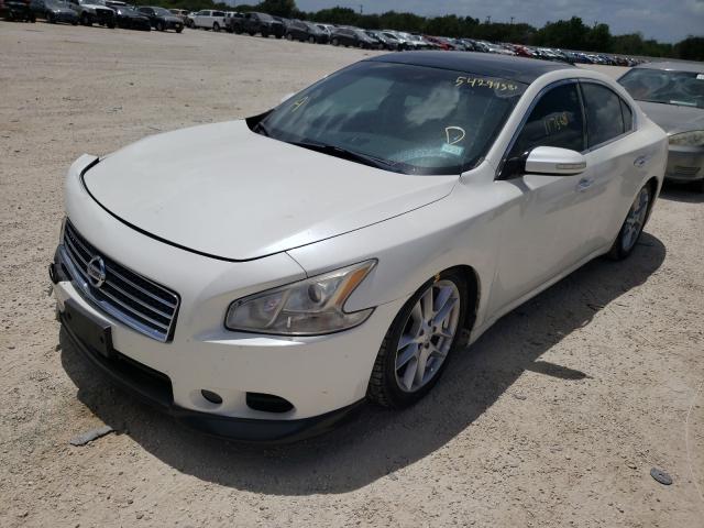 Photo 1 VIN: 1N4AA5AP7BC833733 - NISSAN MAXIMA 