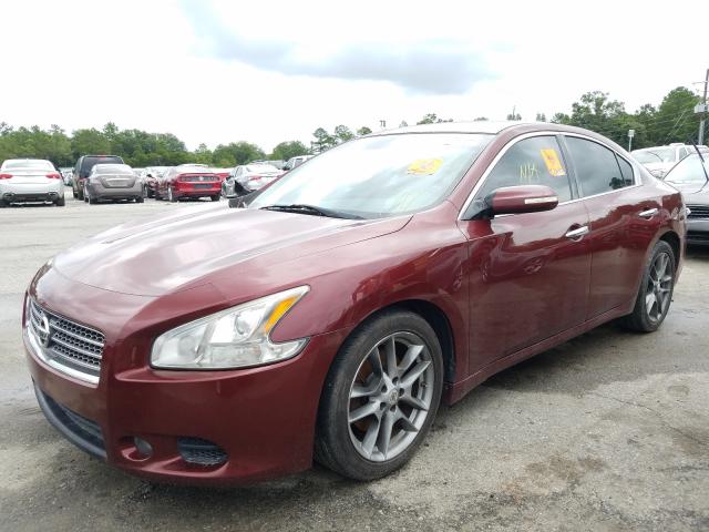 Photo 1 VIN: 1N4AA5AP7BC833957 - NISSAN MAXIMA S 