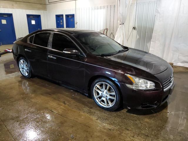 Photo 3 VIN: 1N4AA5AP7BC836499 - NISSAN MAXIMA 