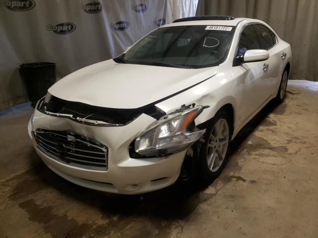 Photo 1 VIN: 1N4AA5AP7BC837085 - NISSAN MAXIMA S 