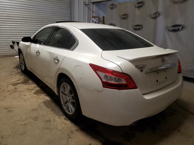 Photo 2 VIN: 1N4AA5AP7BC837085 - NISSAN MAXIMA S 