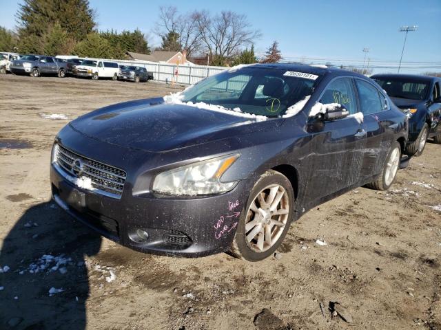 Photo 1 VIN: 1N4AA5AP7BC840245 - NISSAN MAXIMA S 