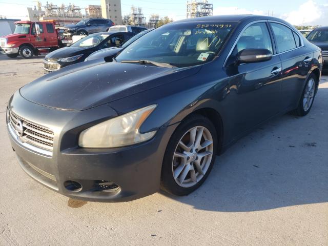 Photo 1 VIN: 1N4AA5AP7BC842836 - NISSAN MAXIMA S 