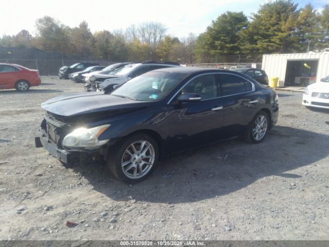 Photo 1 VIN: 1N4AA5AP7BC843002 - NISSAN MAXIMA 