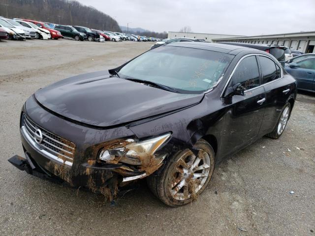 Photo 1 VIN: 1N4AA5AP7BC850970 - NISSAN MAXIMA S 