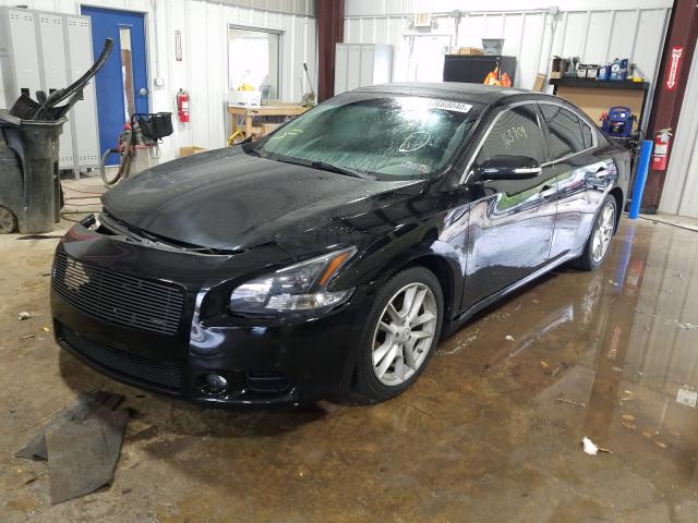 Photo 1 VIN: 1N4AA5AP7BC863492 - NISSAN MAXIMA 