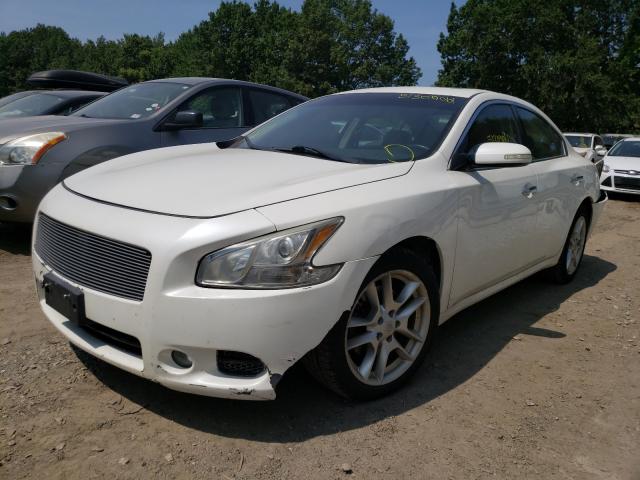 Photo 1 VIN: 1N4AA5AP7BC863556 - NISSAN MAXIMA S 