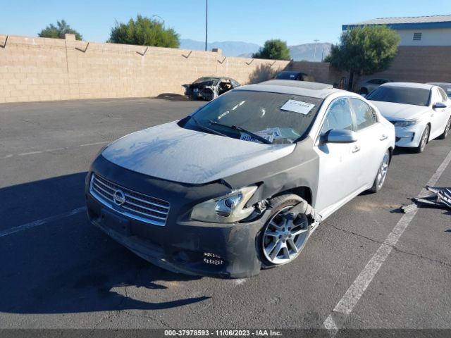 Photo 1 VIN: 1N4AA5AP7BC865937 - NISSAN MAXIMA 