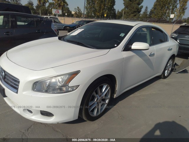 Photo 1 VIN: 1N4AA5AP7DC801464 - NISSAN MAXIMA 