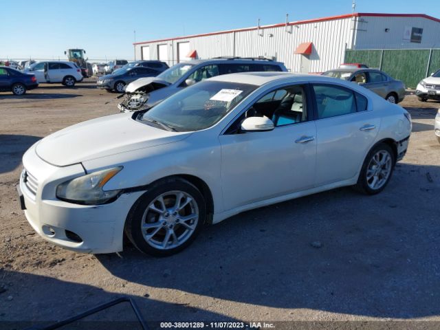 Photo 1 VIN: 1N4AA5AP7DC829569 - NISSAN MAXIMA 