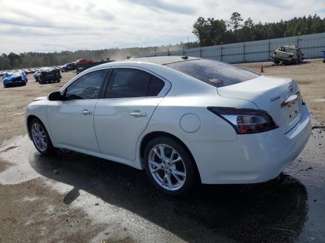 Photo 1 VIN: 1N4AA5AP7EC445258 - NISSAN MAXIMA 