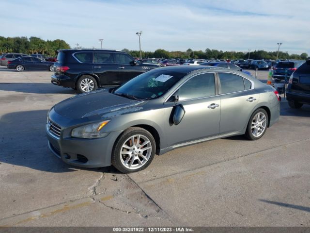 Photo 1 VIN: 1N4AA5AP8AC802215 - NISSAN MAXIMA 