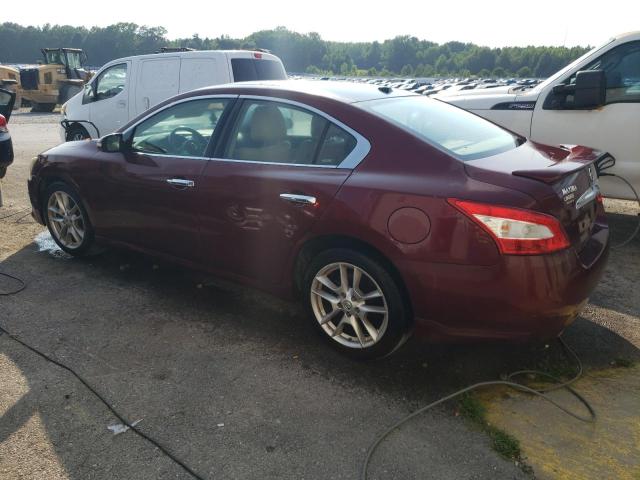 Photo 1 VIN: 1N4AA5AP8AC809259 - NISSAN MAXIMA 