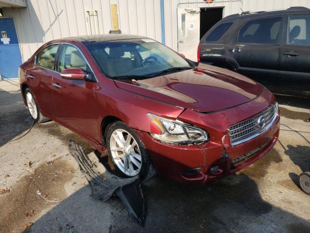 Photo 3 VIN: 1N4AA5AP8AC809259 - NISSAN MAXIMA 