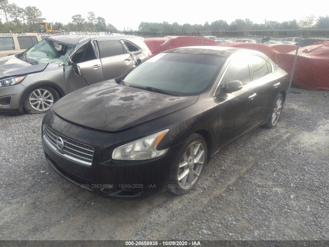 Photo 1 VIN: 1N4AA5AP8AC810654 - NISSAN MAXIMA 