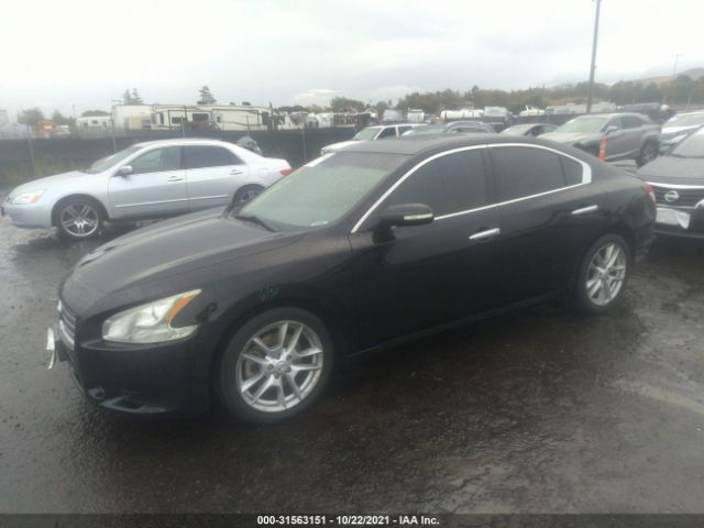 Photo 1 VIN: 1N4AA5AP8AC838454 - NISSAN MAXIMA 