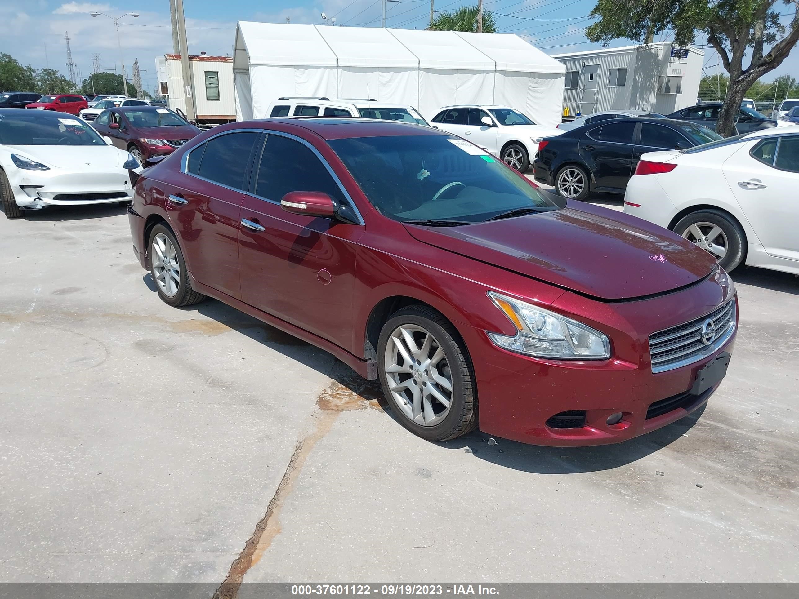 Photo 0 VIN: 1N4AA5AP8AC840446 - NISSAN MAXIMA 