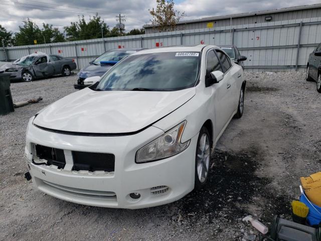 Photo 1 VIN: 1N4AA5AP8AC844531 - NISSAN MAXIMA S 