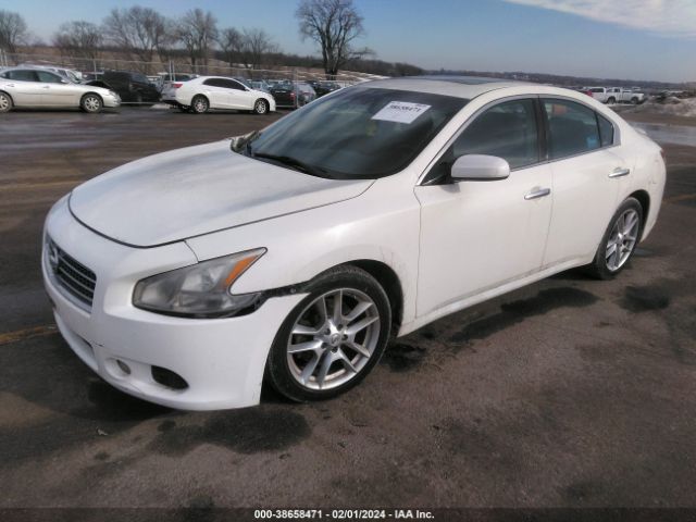 Photo 1 VIN: 1N4AA5AP8AC853651 - NISSAN MAXIMA 