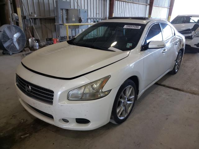 Photo 1 VIN: 1N4AA5AP8BC801793 - NISSAN MAXIMA S 