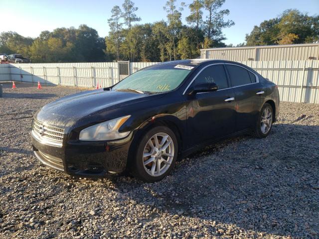 Photo 1 VIN: 1N4AA5AP8BC802264 - NISSAN MAXIMA S 