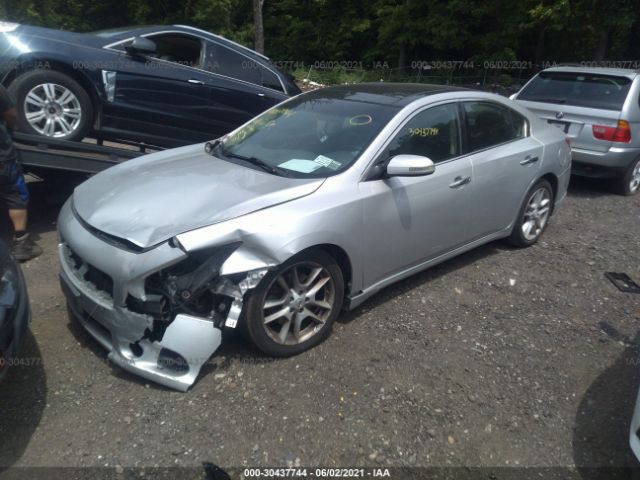 Photo 1 VIN: 1N4AA5AP8BC802961 - NISSAN MAXIMA 