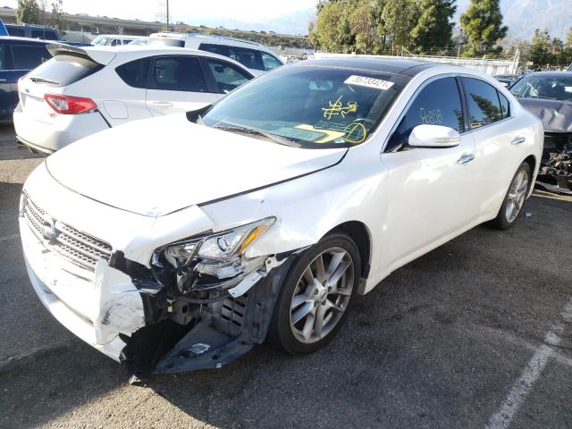 Photo 1 VIN: 1N4AA5AP8BC809652 - NISSAN MAXIMA S 