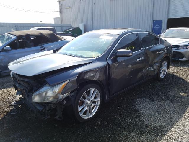 Photo 1 VIN: 1N4AA5AP8BC810672 - NISSAN MAXIMA S 