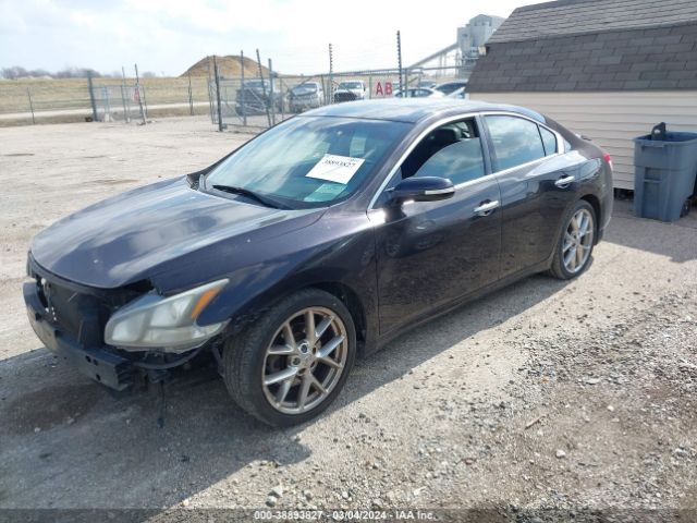 Photo 1 VIN: 1N4AA5AP8BC814933 - NISSAN MAXIMA 