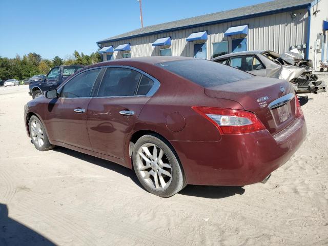 Photo 1 VIN: 1N4AA5AP8BC823115 - NISSAN MAXIMA 