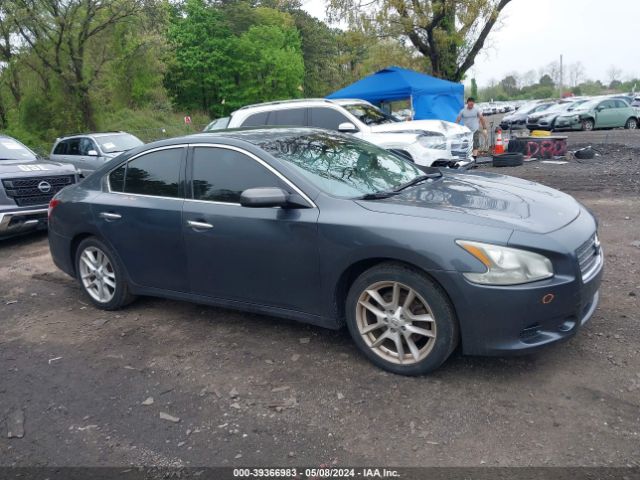 Photo 0 VIN: 1N4AA5AP8BC825429 - NISSAN MAXIMA 