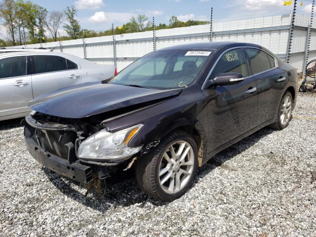 Photo 1 VIN: 1N4AA5AP8BC830694 - NISSAN MAXIMA 