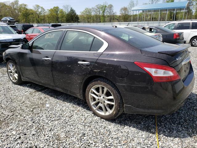 Photo 2 VIN: 1N4AA5AP8BC830694 - NISSAN MAXIMA 