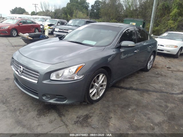 Photo 1 VIN: 1N4AA5AP8BC831621 - NISSAN MAXIMA 