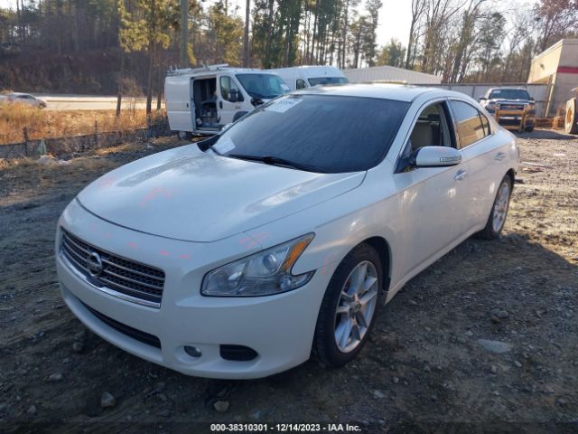 Photo 1 VIN: 1N4AA5AP8BC833756 - NISSAN MAXIMA 