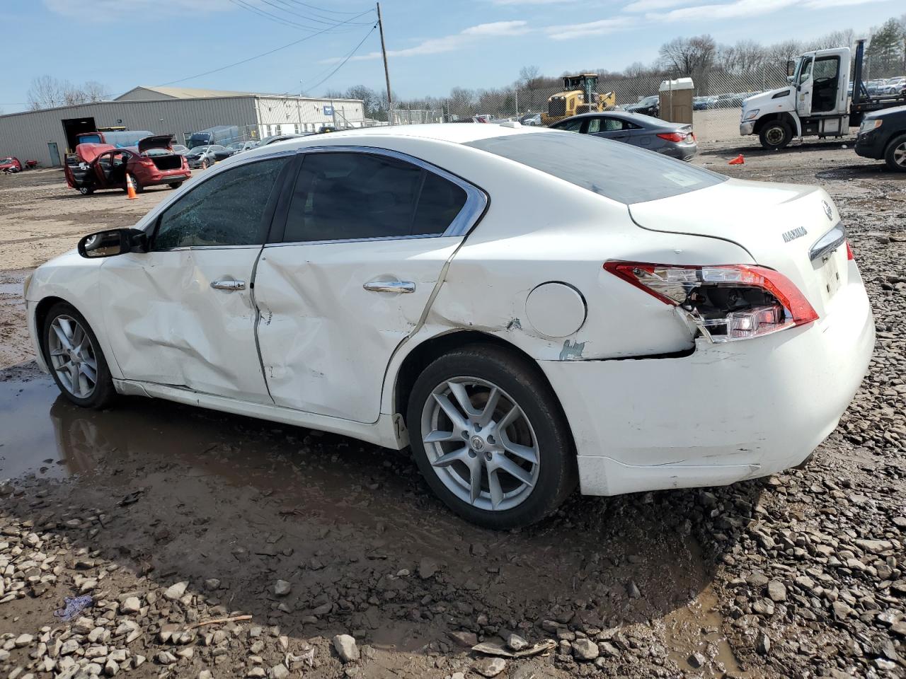 Photo 1 VIN: 1N4AA5AP8BC835510 - NISSAN MAXIMA 