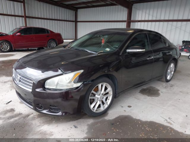 Photo 1 VIN: 1N4AA5AP8BC838388 - NISSAN MAXIMA 