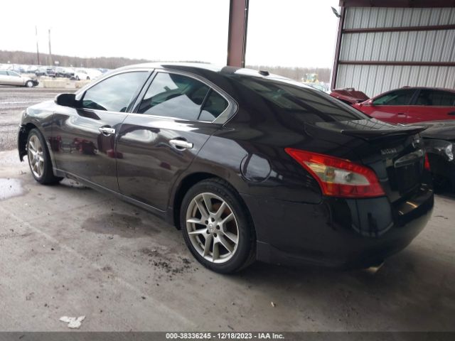 Photo 2 VIN: 1N4AA5AP8BC838388 - NISSAN MAXIMA 